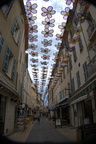 CassisCiotat 075 (33 visites) CassisCiotat 075